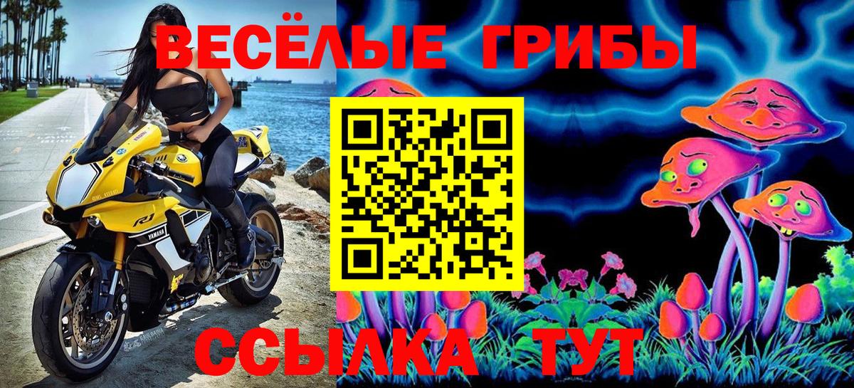 Галлюциногенные грибы Psilocybine cubensis  Псилоцибиновые грибы ЛСД  Воркута  Вход с VPN 