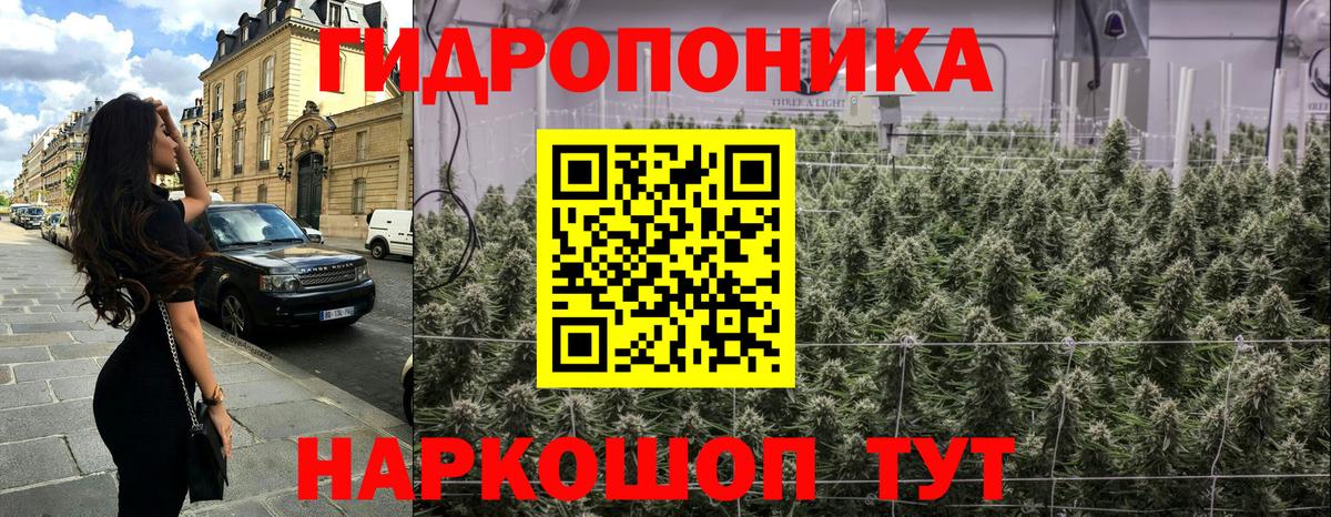 Воркута  МАРИХУАНА SATIVA & INDICA  Вход с VPN  МАРИХУАНА OG Kush 